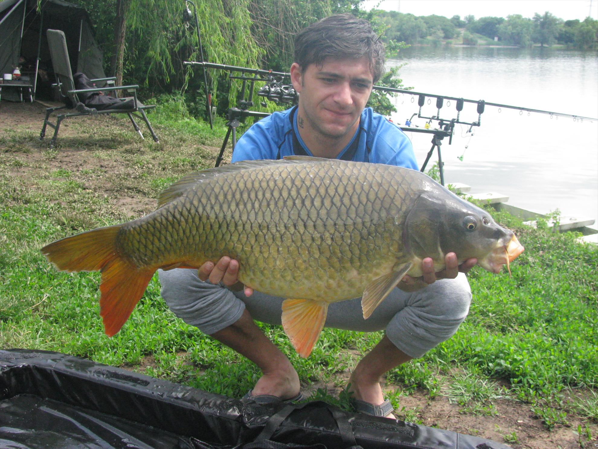 Poze 19-21.05.2012 Tancabesti Avicola 2 - img0153.JPG